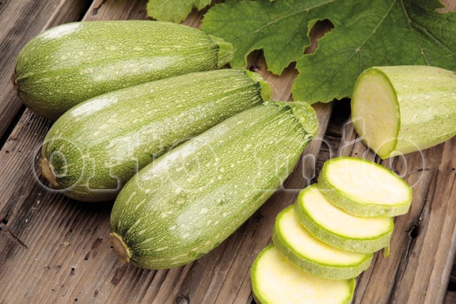 zucchine fresche nell'orto, zucchine vegetali fresche, zucchine di